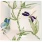 Coffret de 1 cendrier carr� G.M. - 17x17 cm