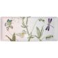 Coffret de 1 plat � cake - 38x14,5 cm