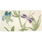 Coffret de 1 vide-poches - 19,3x10 cm