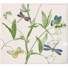 Coffret de 1 coupe carr�e  - 29,5x26,5 cm