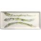 Coffret de 1 plat � cake - 38x14,5 cm