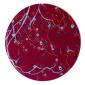 Plat rond plat diam 32cm