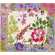Coffret de 1 coupe carr�e - 29.5 x26.5 cm