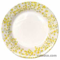 Coffret de 6 Assiettes creuses - diam. 23 cm