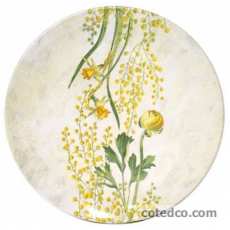 Coffret de 1 plat � g�teaux - diam. 30 cm