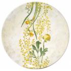 Coffret de 1 plat � g�teaux - diam. 30 cm
