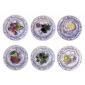 Coffret de 6 Assiettes canap�s fruits - diam. 16,5 cm