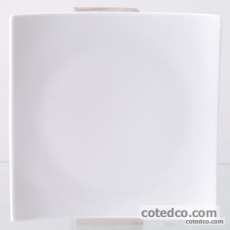 Assiette plate 25x25
