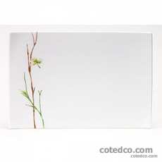 Assiette rectangle GM 21.5 x 32cm