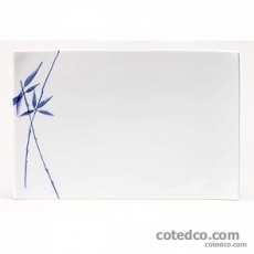 Assiette rectangle PM
