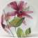 Assiette � pain