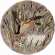 Coffret de 1 Assiette plate Canard - diam. 26,3 cm