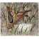 Coffret de 1 coupe carr�e Canard - 29,5x26,5 cm