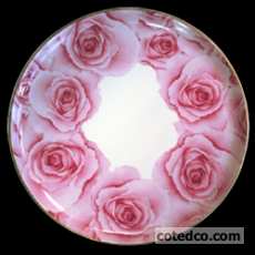 Plat � tarte - 31.5 cm