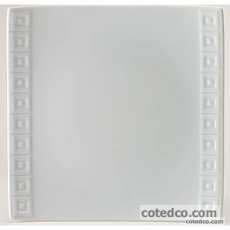 Assiette plate 25x25