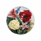 Coffret de 6 Assiettes dessert - diam. 21,8 cm