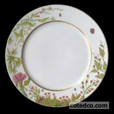Plat creux - 31,5 cm