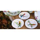 Assiette pain - 16 cm Perruche Rouge