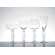 Fl�te � champagne 16cl
