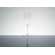 Verre � champagne 25cl