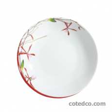 Assiette creuse calotte