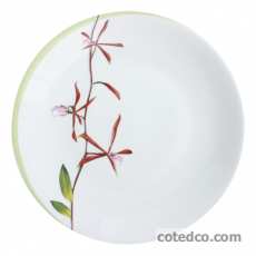 Assiette plate