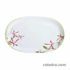 Plat ovale