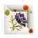 Coffret de 1 cendrier carré G.M. - 17x17 cm