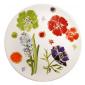 Coffret de 1 plat � g�teaux - diam. 30 cm