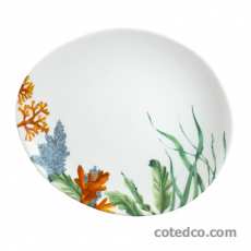 Assiette dessert 240mm