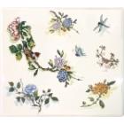 Coffret de 1 coupe carr�e �pure - 29,5x26,5 cm
