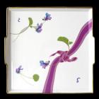 Plateau carr�