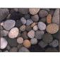 Bo�te de 2 sets de table  - 40x29.5 cm