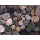 La collection Galets - Pimpernel