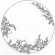 Plat creux -pois de senteur-