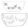 Saladier -bouleau-