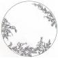 Plat creux -pois de senteur-