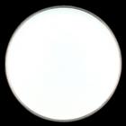 Plat � tarte  - 31,5 cm