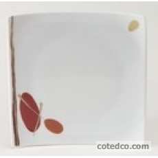 Assiette plate 25x25