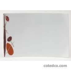 Assiette rectangle PM